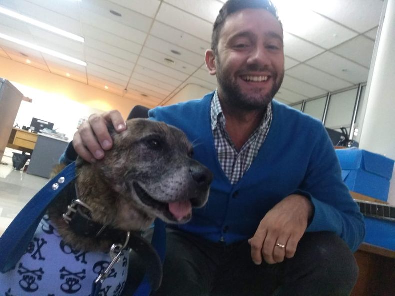 Tiger, en la oficina, cuando acompaña a Analía a trabajar.