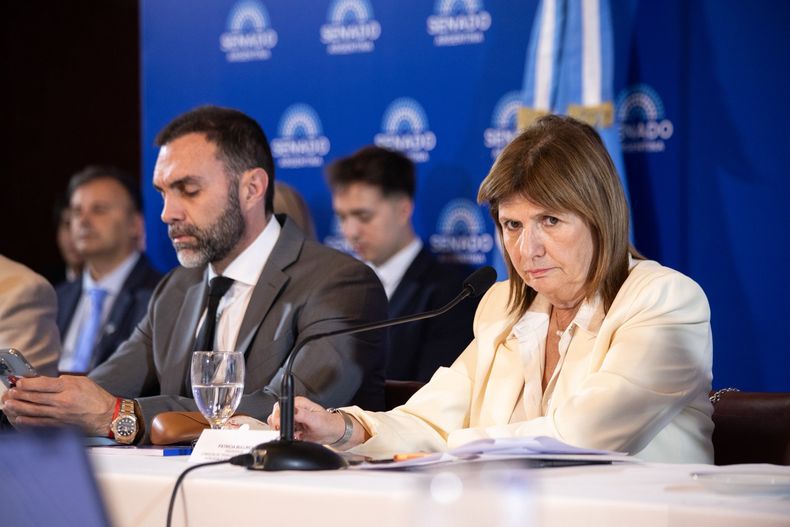 Patricia Bullrich en el Senado de la Nación.