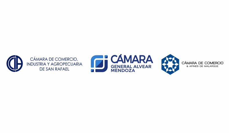 Cámaras Sur provincial