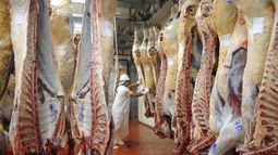 El Gobierno estableció como serán las exportaciones de carne a los Estados Unidos