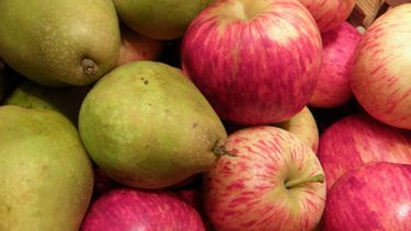 Extienden beneficios para productores de peras y manzanas en Mendoza y cuatro provincias