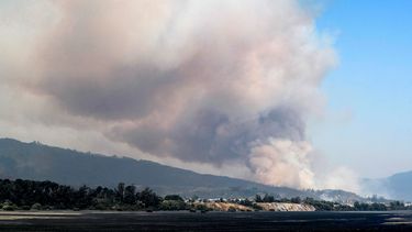 Incendios en Chile: al menos 22 muertos y más de 170 focos activos