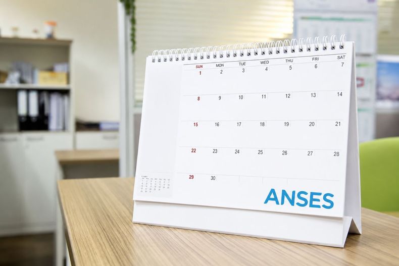 ANSES: conocé el calendario de pagos completo para agosto 2026