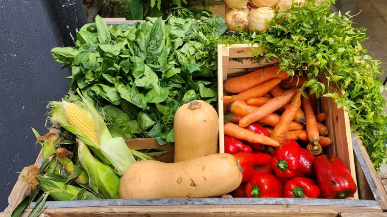 En la provincia de Mendoza, el deshidratado de frutas y hortalizas gana terreno en la economía regional