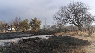 En San Rafael se activaron varios focos de incendio