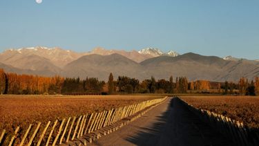 Sitio Andino | Mendoza