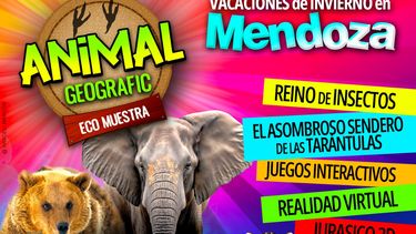 Animal Geografic llega a Mendoza con una aventura inmersiva para toda la familia en su Safari urbano