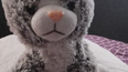Ofrecieron recompensa por un peluche de apego perdido, pero la persona que lo encontró pidió más dinero