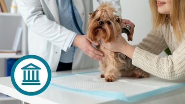 Sitio Andino | veterinaria, Banco Nación