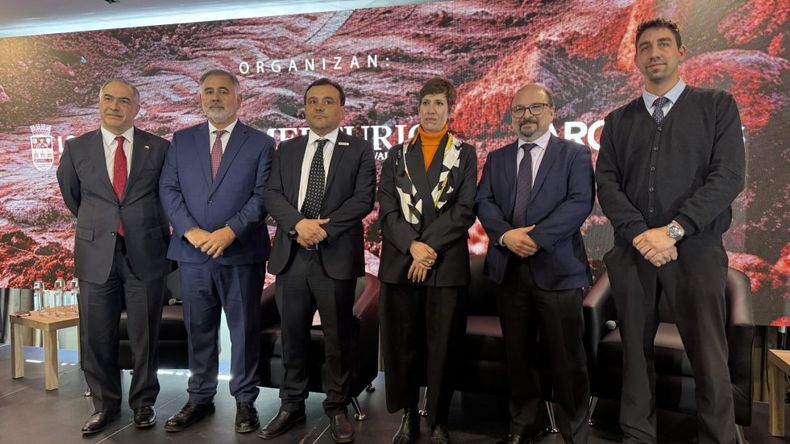 Minería binacional: Mendoza dio un paso clave y ya tiene fecha para una cumbre internacional