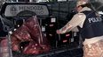 Carne ilegal: ¿Cómo el ganado comprado barato termina en el mercado negro de Mendoza?
