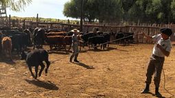 Actividades de campo en Malargüe (Foto Claudio Altamirano)
