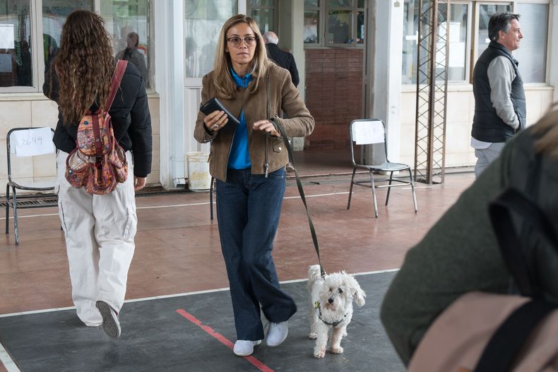 El perro de cada elección presente. El perro de cada elección presente.