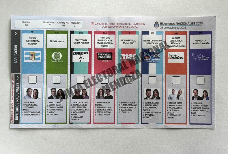Con esta boleta única se avanza en la organización de los comicios