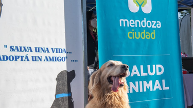 Sitio Andino | image.png
