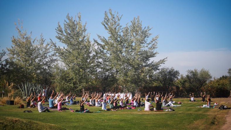 Arranca el ciclo 2019 de Yoga por los Caminos del Vino