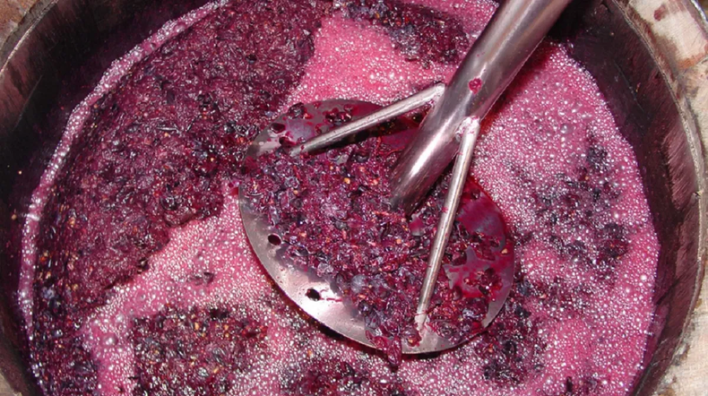 Mendoza re impulsa ley para usar mosto y jugos naturales en alimentos: impacto económico y sanitario.