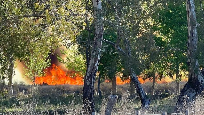 Incendios causados por cazadores de liebres en General Alvear.