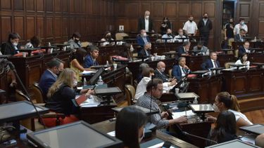 la fuerte discusion ideologica en el senado de mendoza por las cajas de leche de nacion