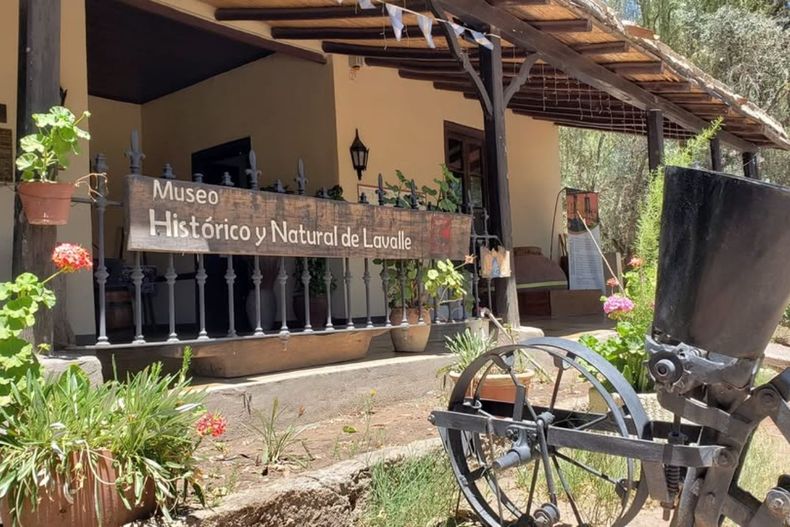 La historia detrás del Museo Histórico y Natural de Lavalle: más que un recorrido educativo
