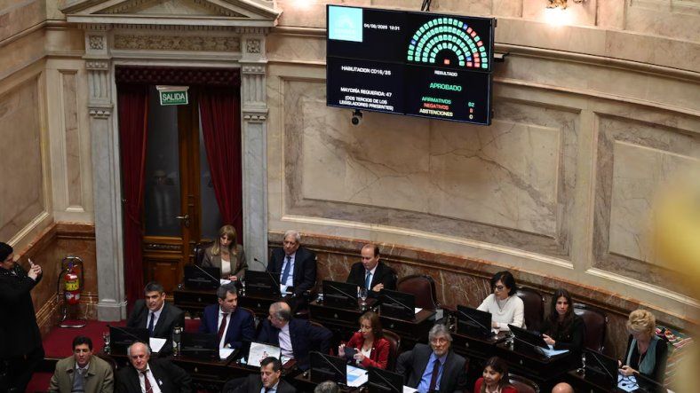 La Emergencia en Discapacidad es ley: el Senado revirtió el primer veto de la era Milei