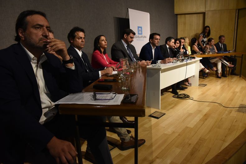 Este martes se realizó la audiencia pública para analizar el pliego de Tadeo García Zalazar como ministro de Educación, Cultura, Infancias y DGE. 