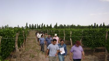 Más de 4.000 productores quedarían sin asistencia técnica