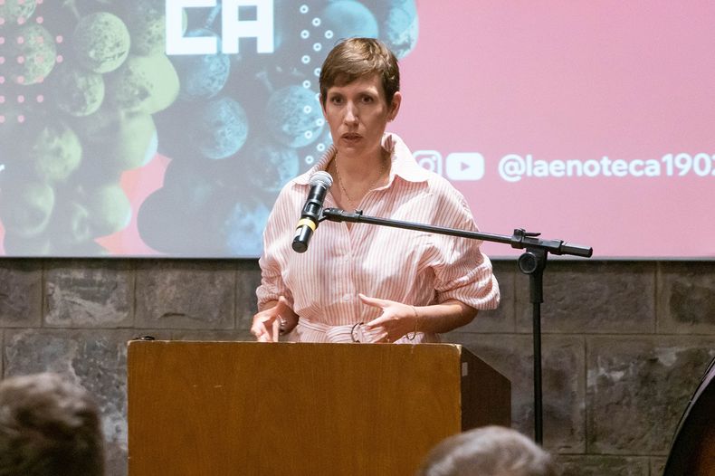 Los cambios en la prestación de los servicios en el Parque Provincial Aconcagua que busca el Gobierno.