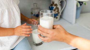 1 de junio: Día de la Leche.