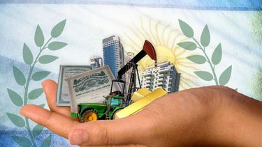 Para FIEL, la inversión extranjera directa no alcanza