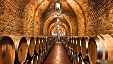 bodegas de argentina pide derogar la ley que creo a la coviar por incumplir sus objetivos