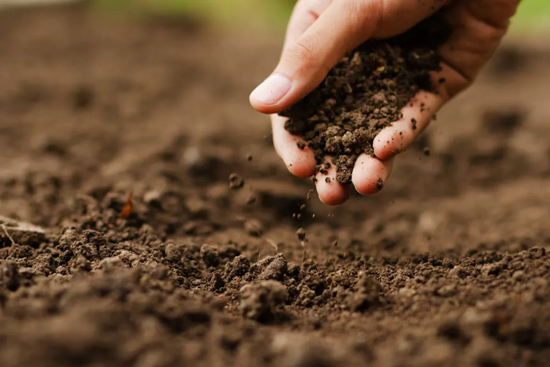 La Municipalidad de Junín comunicó que está habilitada la renovación del Registro de Uso de la Tierra