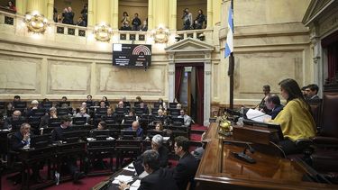 El Senado aprobó el proyecto de financiamiento universitario.
