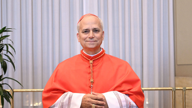 Sitio Andino | cardenal robert prevost.png