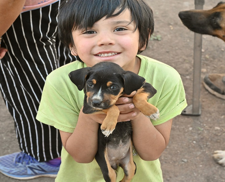 Bienestar para tu mascota en Godoy Cruz.