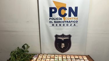 Sitio Andino | Secuestro droga (6).jpeg
