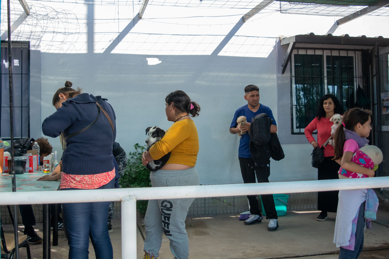 La salud animal en la Ciudad de Mendoza.