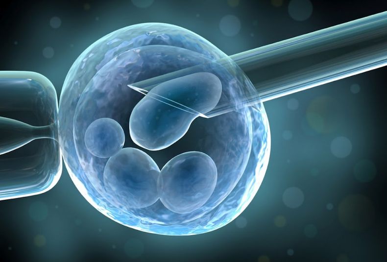 Fueron tres inseminaciones artificiales y luego cuatro fertilizaciones in vitro