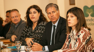 Proyecto con despacho favorable en la Ciudad.