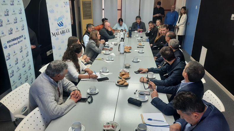 Paso Pehuenche como eje de la sesión de la Bicameral en Malargüe.