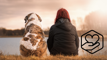 Sitio Andino | convivir con un perro, mascota
