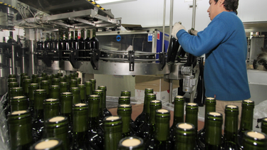 Transformación del INV: cómo afecta al vino argentino el Decreto motosierra