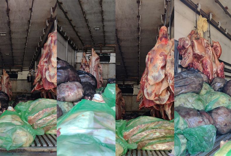 Otro de los procedimientos que terminó con un importante decomiso. 