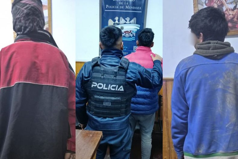 Los tres detenidos quedaron a disposición de la justicia, donde los investigarán por un robo de ganado en Maipú.