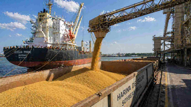 Las agroexportaciones recibiran una nueva baja de retenciones Las agroexportaciones recibiran una nueva baja de retenciones