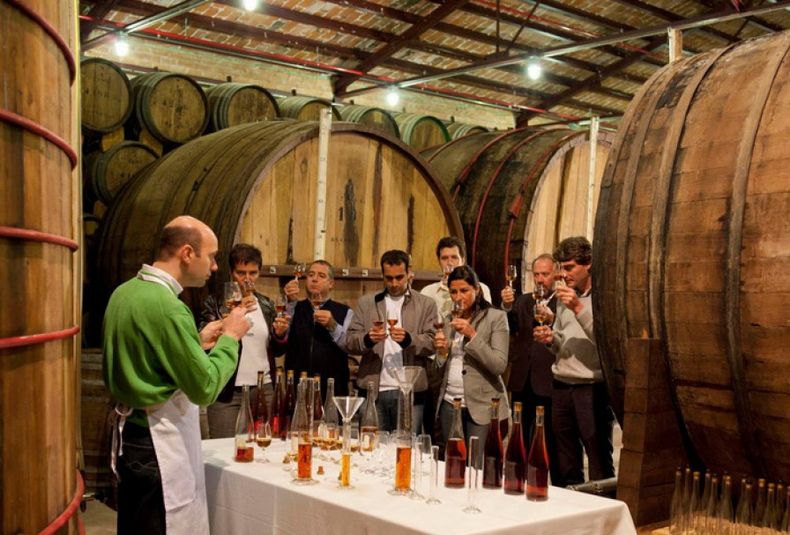 Mansa Bodega, en marcha: qué ofrecen las más de 50 bodegas de Mendoza por $15.000.