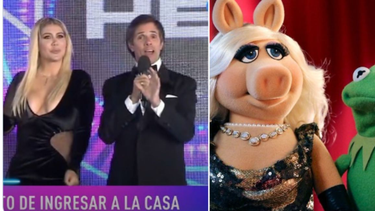 Los memes de Gran Hermano.