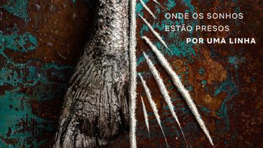 Netflix: la increíble miniserie sobre los amigos que cocinaban pescado con cocaína.