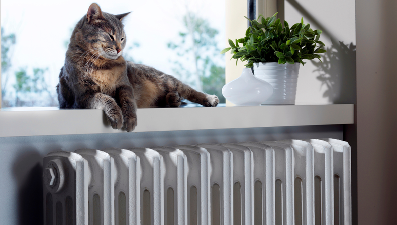 Mascota y calefacci&oacute;n: el error com&uacute;n en invierno que puede afectar su salud