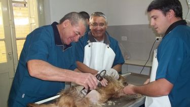 Sitio Andino | 4fba68450eaa9_896_607!.jpg?s=39b45c9a175c3614cd4636e8b3a849f6&d=1575426188